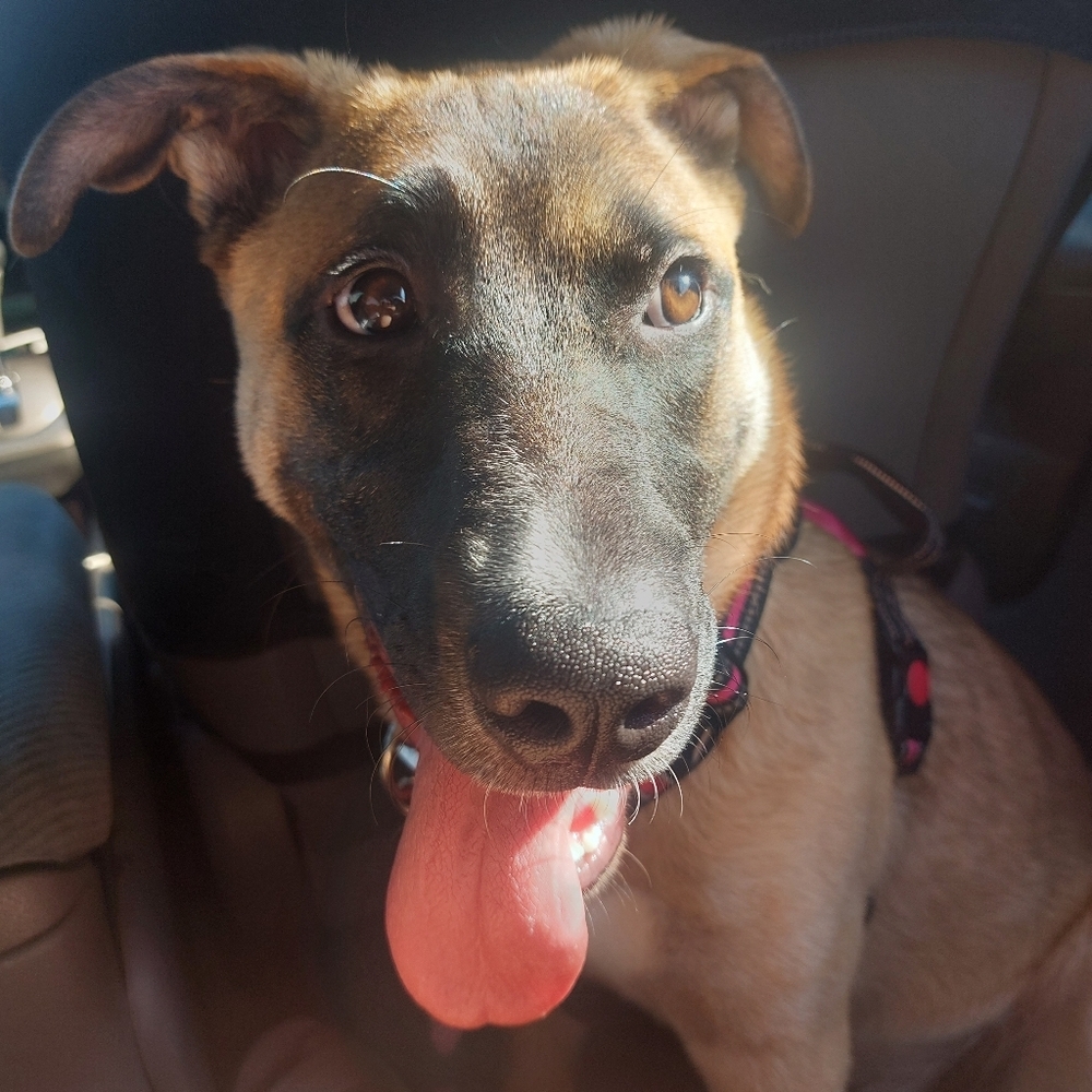 Meet your Posher, Cali